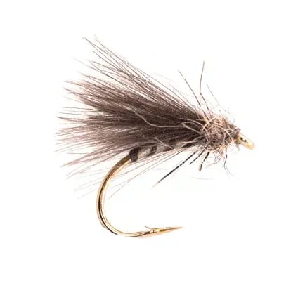 Yellow Owl F-Fly