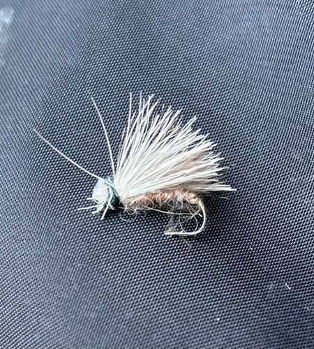 Caddis Dry Fly