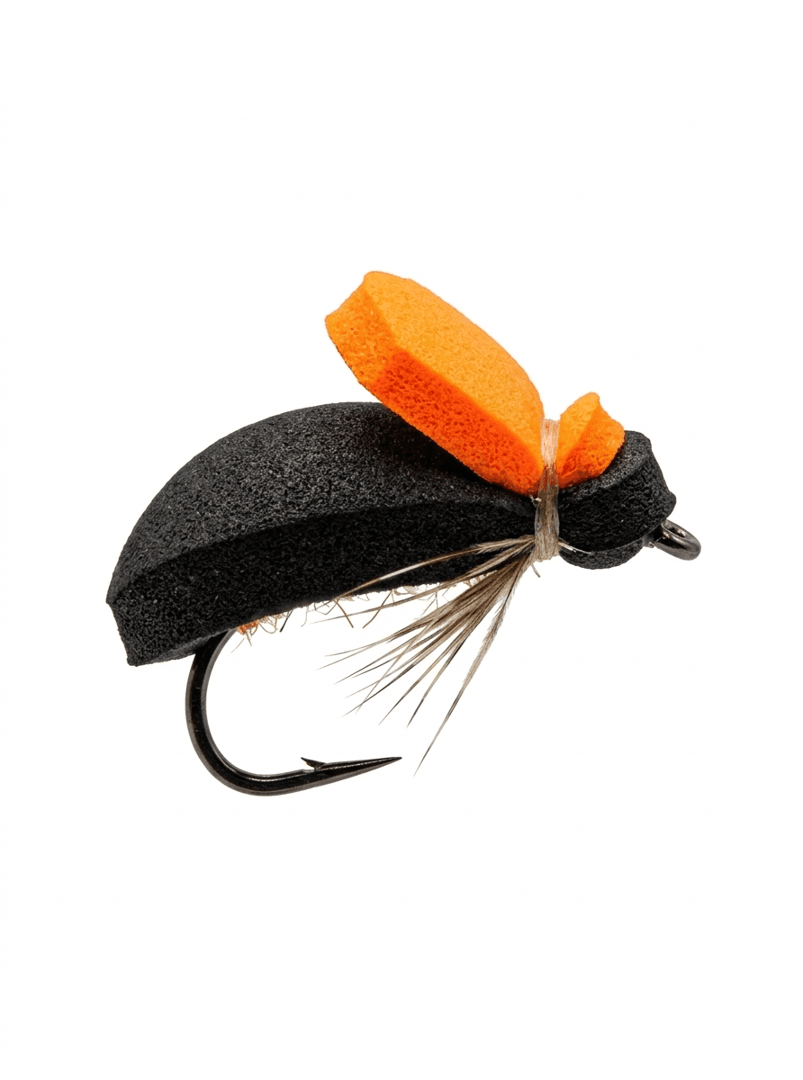 Foam beetle