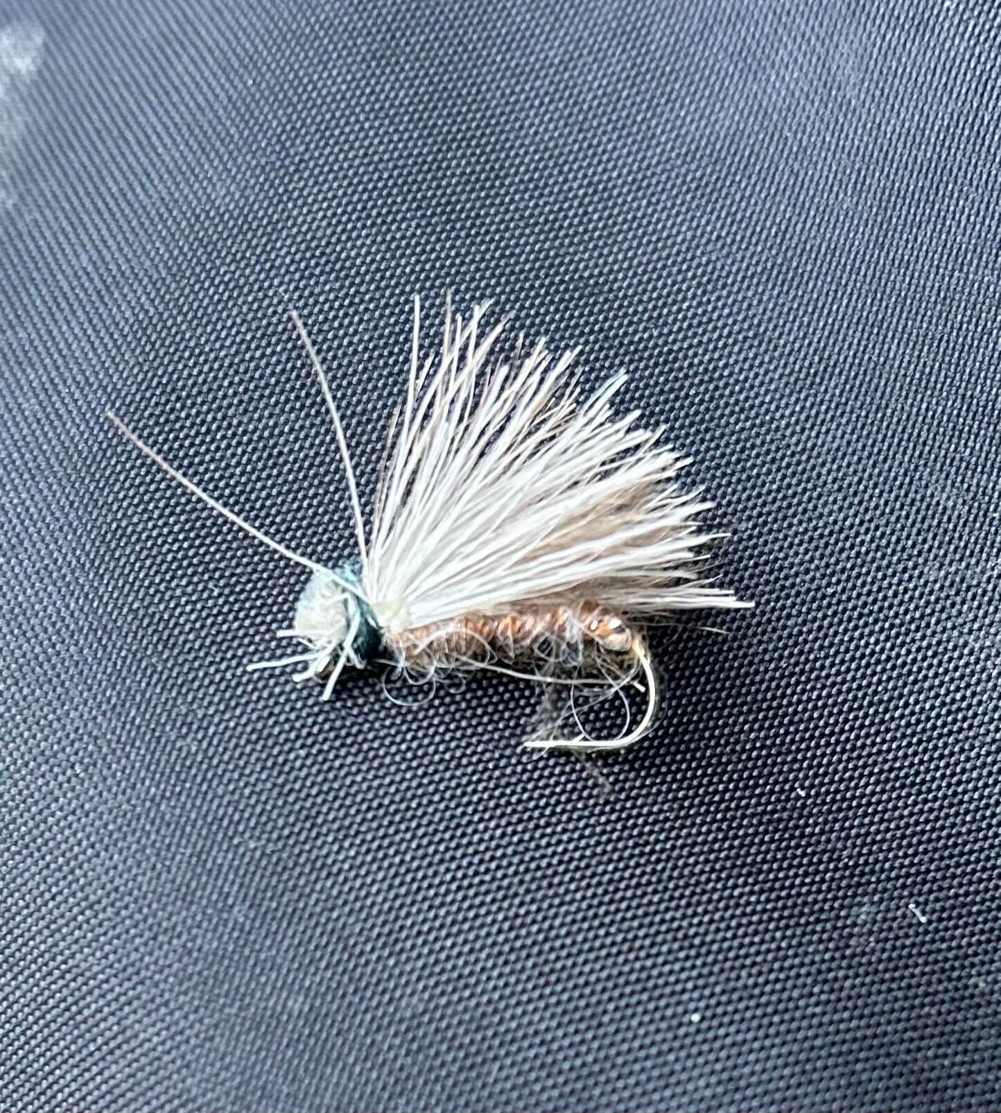 Caddis Dry Fly